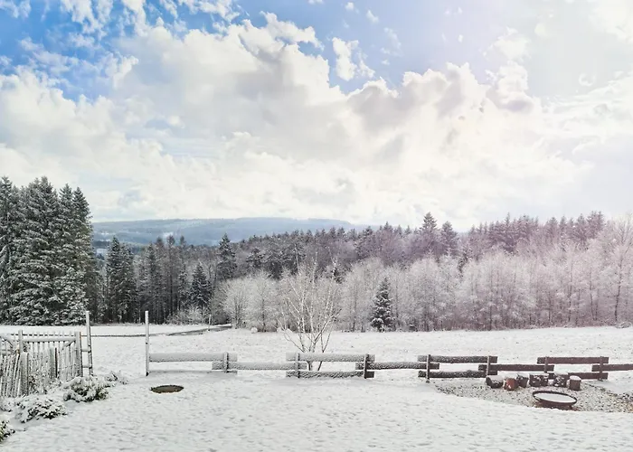 Luxus-ferienhaus Mit Sauna, Hot Tub Und Grandiosem Panorama * Winterberg